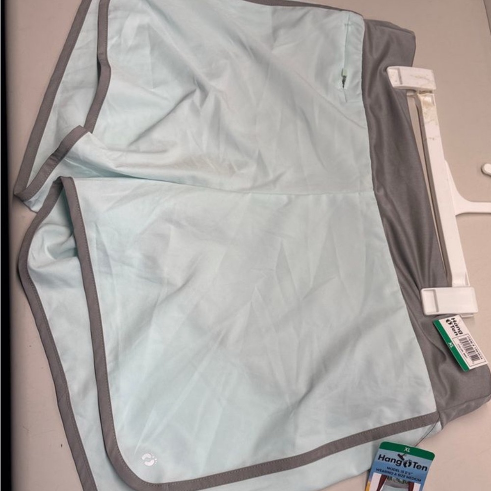 Hang Ten Aqua and Gray Swim Shorts